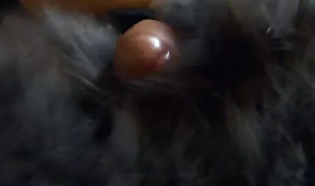 آن مرد نفرت عکس سکسی روسی