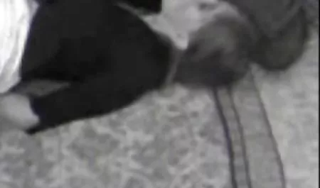 جیمز شاو و دانلود فیلم سکسی روسیه ای