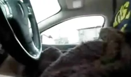 تناسب اندام فیلم س روسی گربه